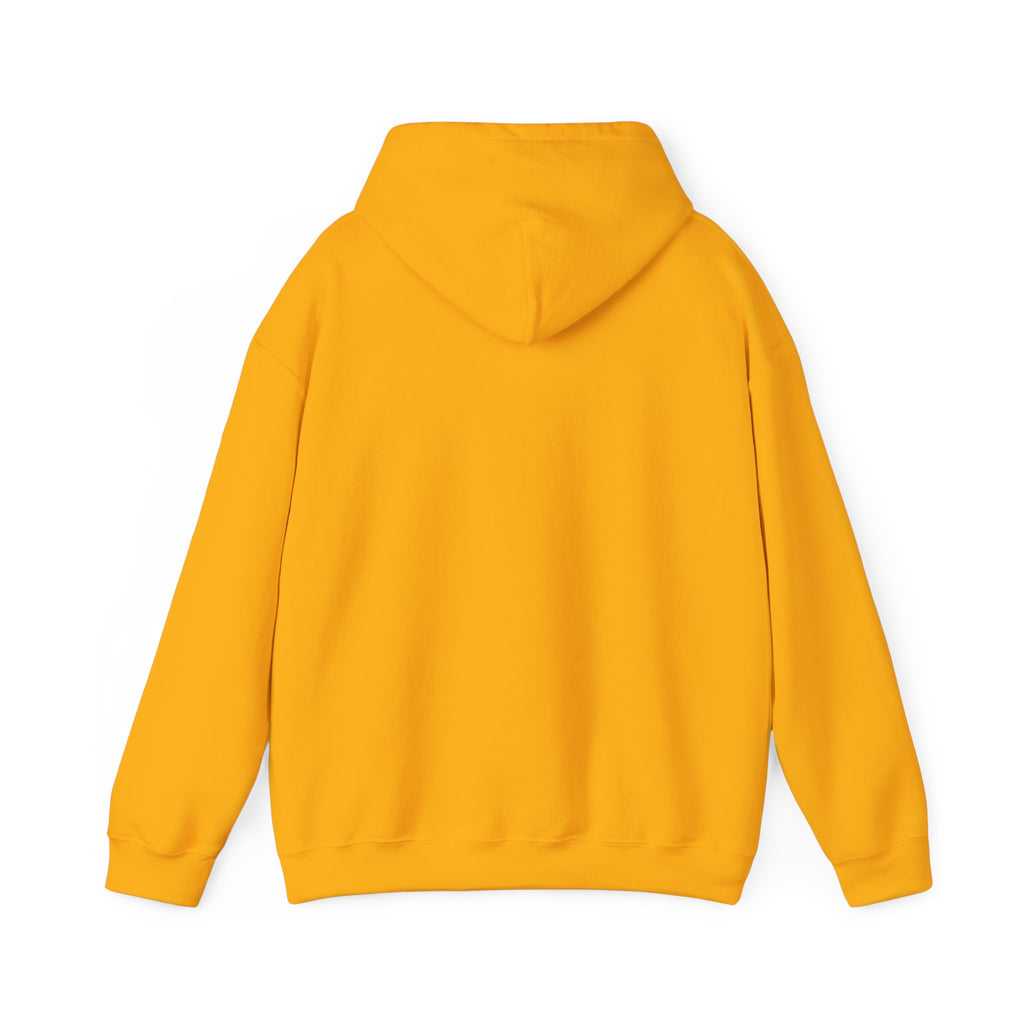 Two Guys Talking Vinyl Records Hoodie