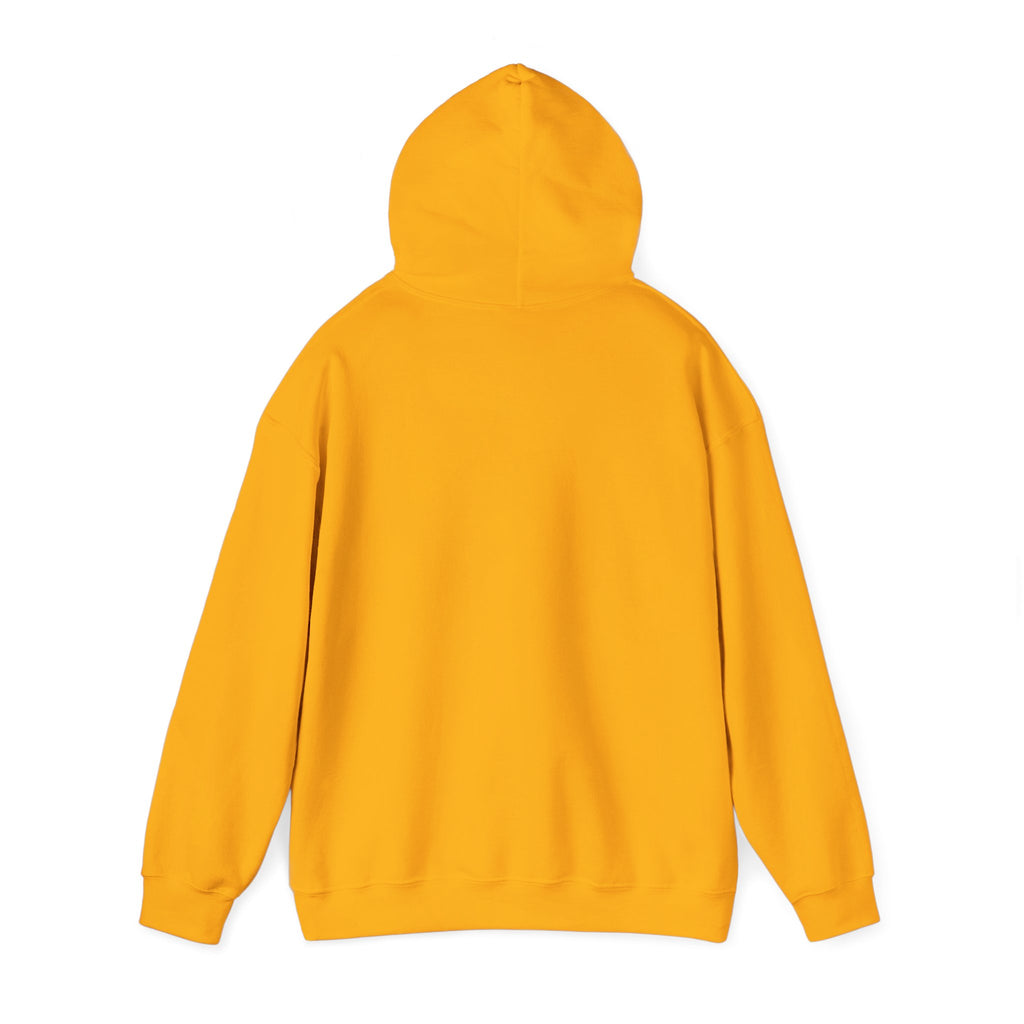 Two Guys Talking Vinyl Records Hoodie