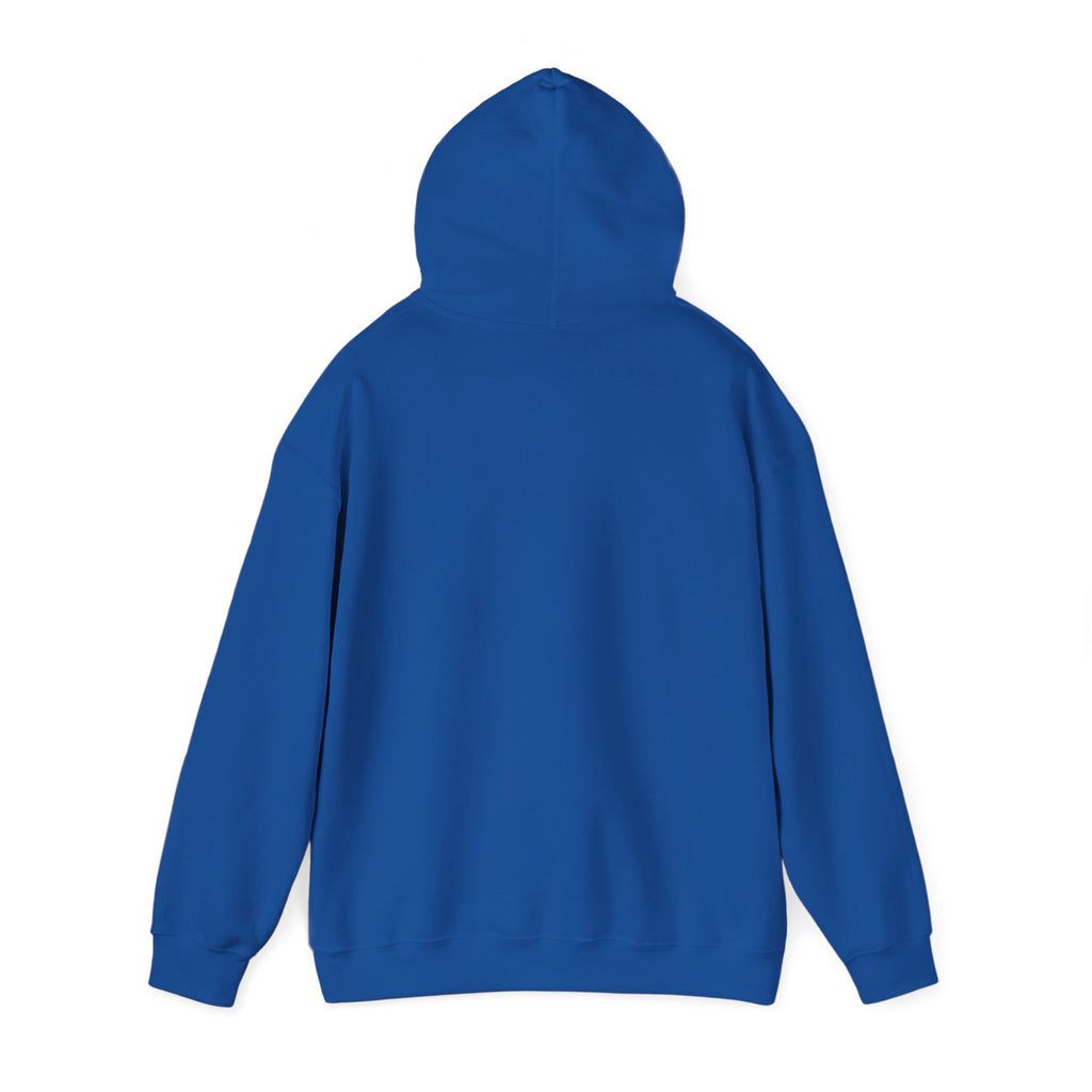 Two Guys Talking Vinyl Records Hoodie