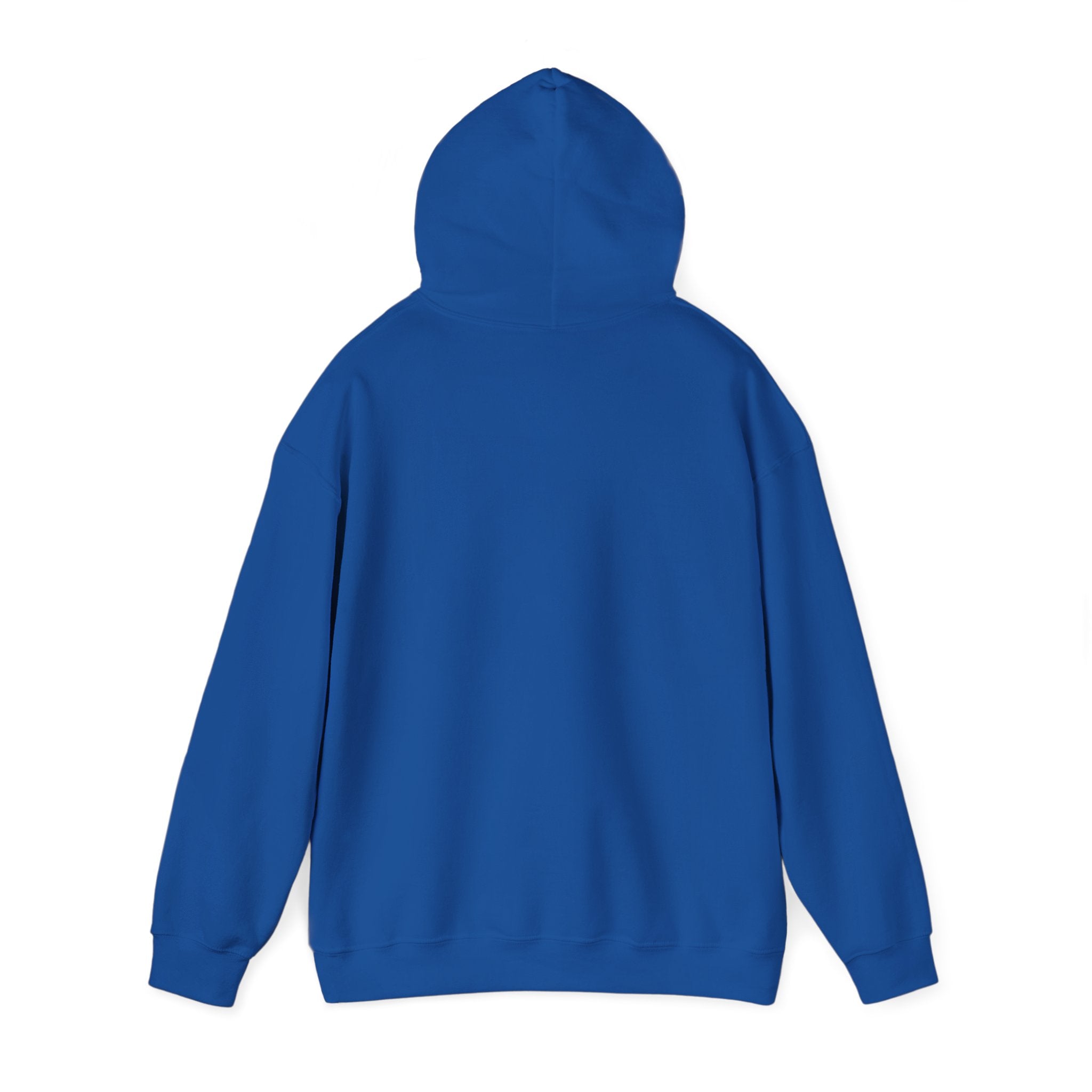 Two Guys Talking Vinyl Records Hoodie