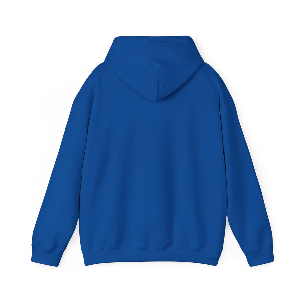 Two Guys Talking Vinyl Records Hoodie