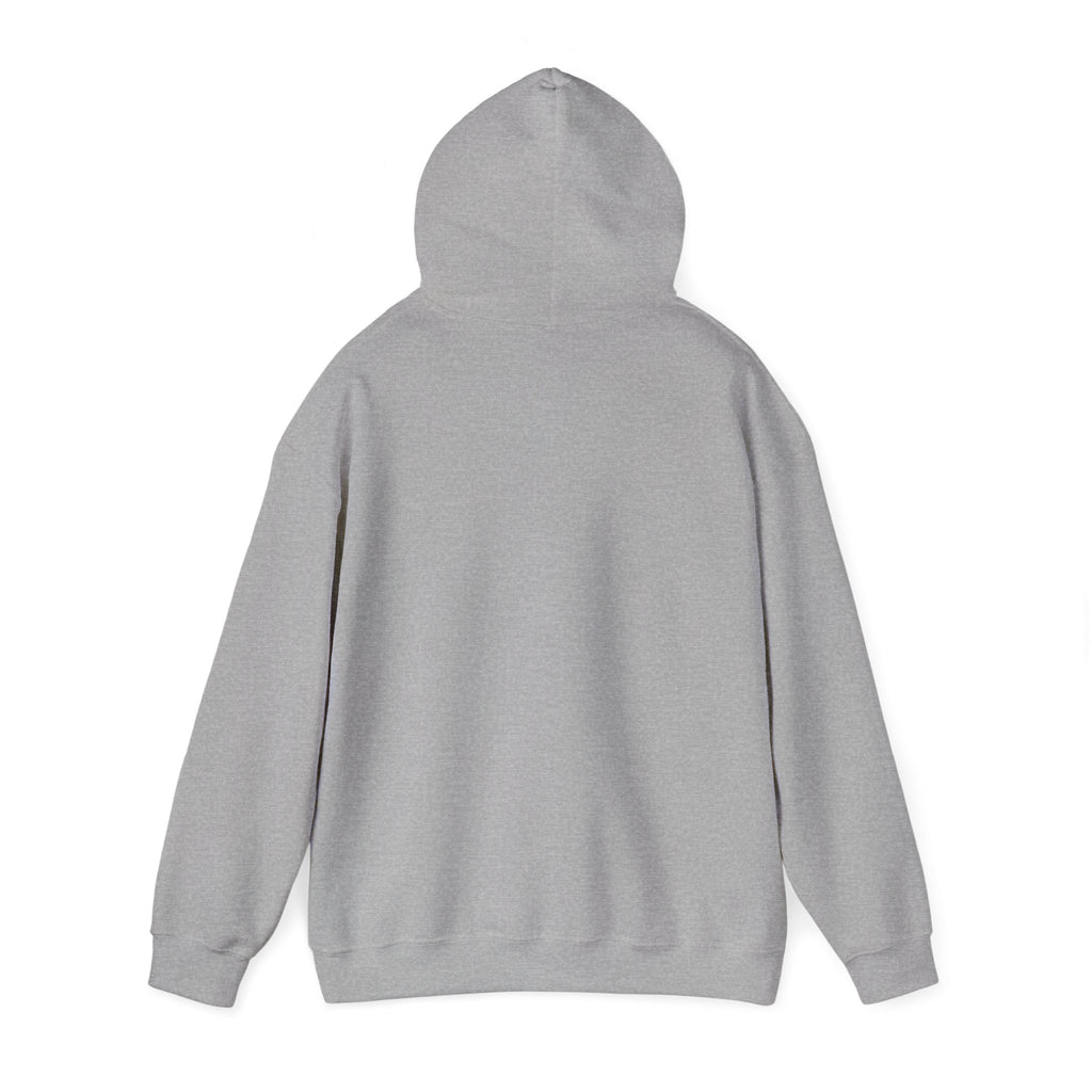 Two Guys Talking Vinyl Records Hoodie
